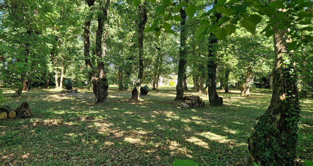 � vendre  Propri�t�/ch�teau Mont�lier (26120)