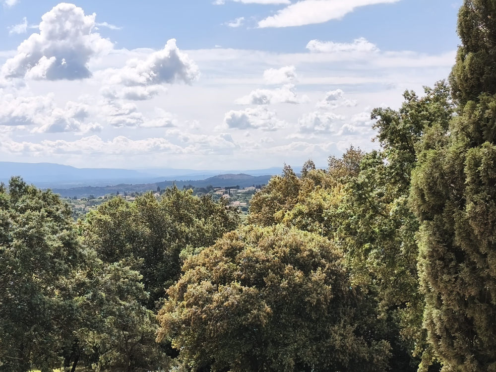 � vendre  Propri�t�/ch�teau Rochefort-du-Gard (30650)