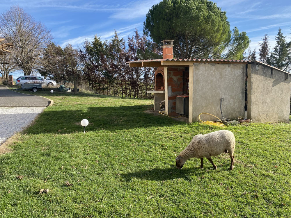 � vendre  Propri�t�/ch�teau Caraman (31460)