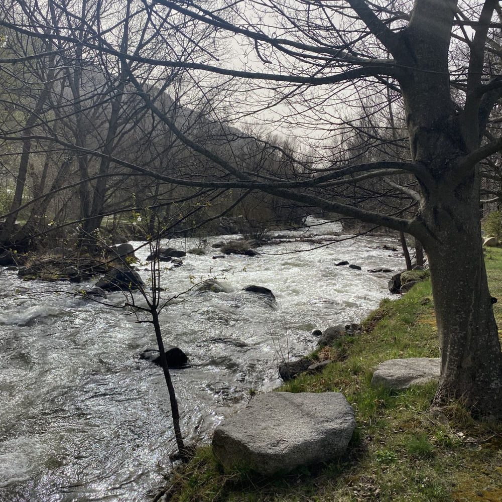 � vendre  Maison Porta (66760)