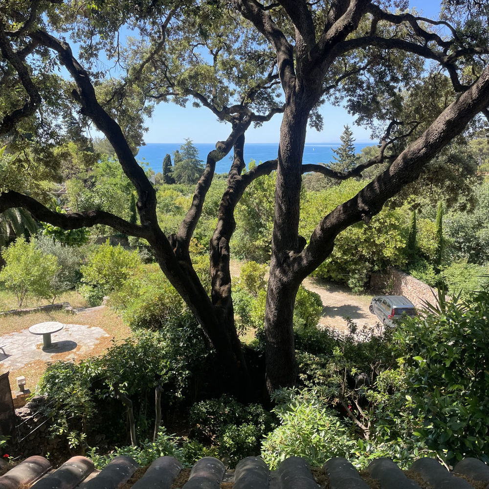 � vendre  Maison S�te (34200)