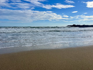  Immeuble � vendre 303 m�