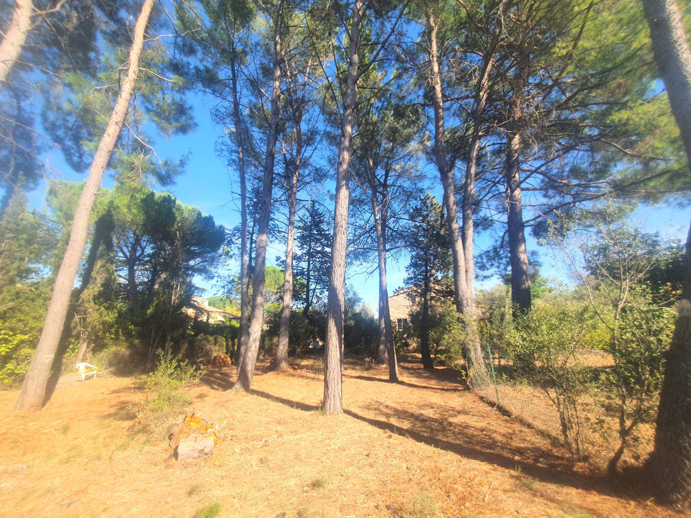 � vendre  Maison Castelnau-le-Lez (34170)