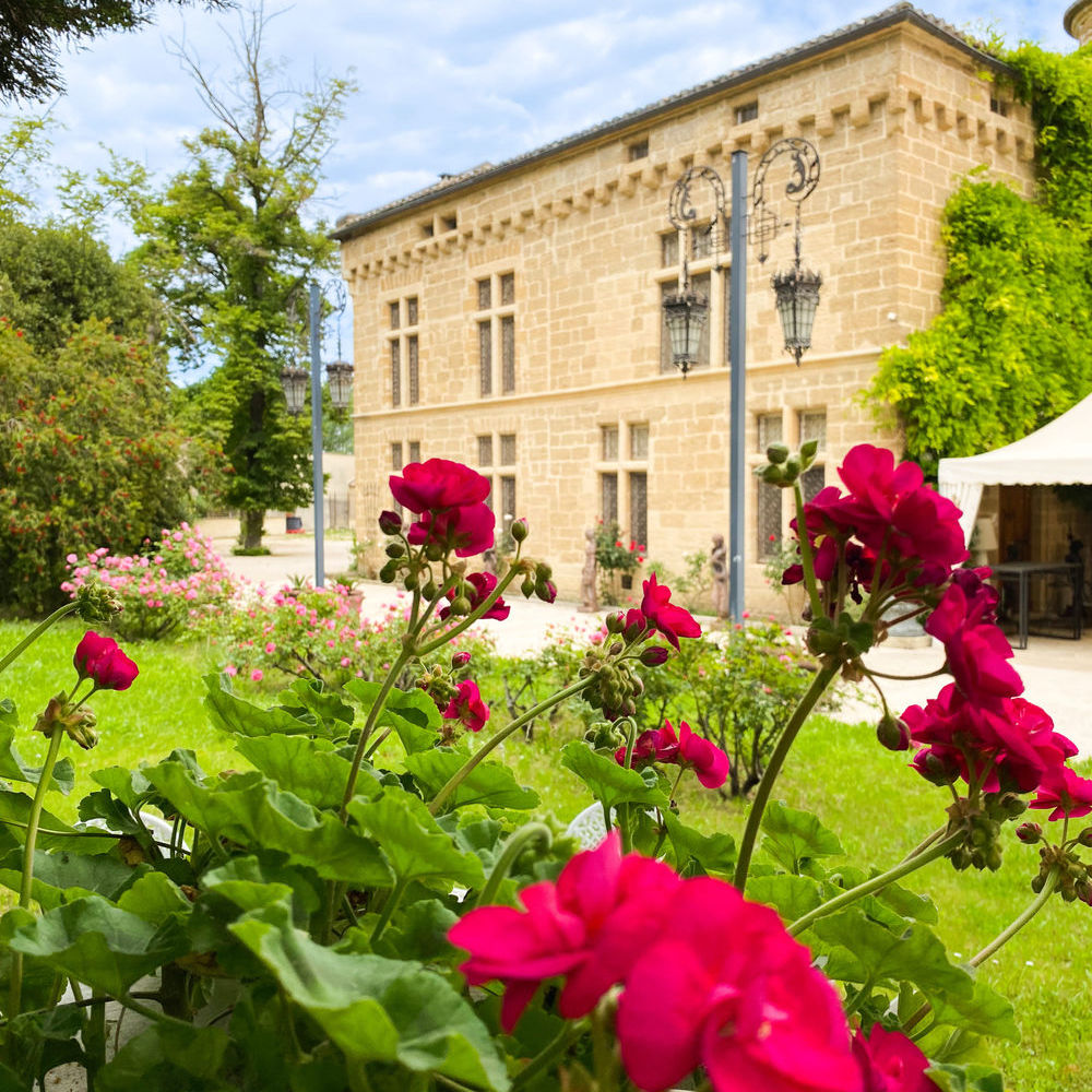 � vendre  Propri�t�/ch�teau Avignon (84000)