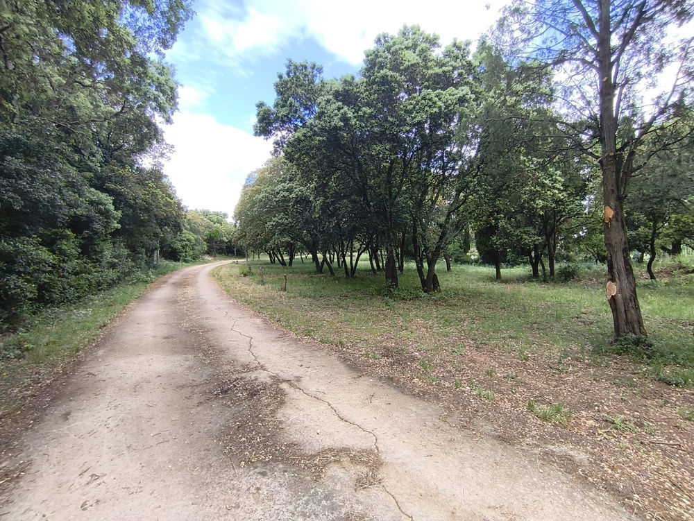 � vendre  Propri�t�/ch�teau Rochefort-du-Gard (30650)