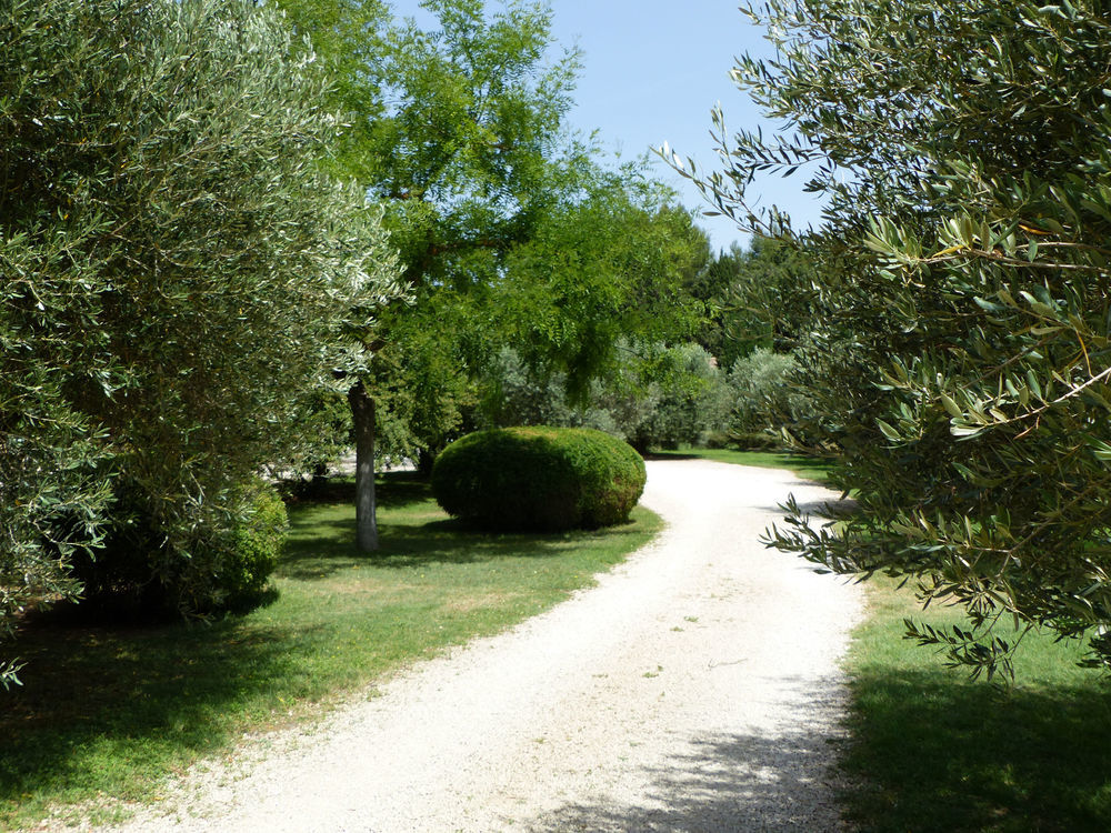 � vendre  Propri�t�/ch�teau Boulbon (13150)