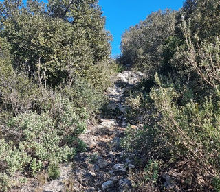  Terrain � vendre 4818 m�