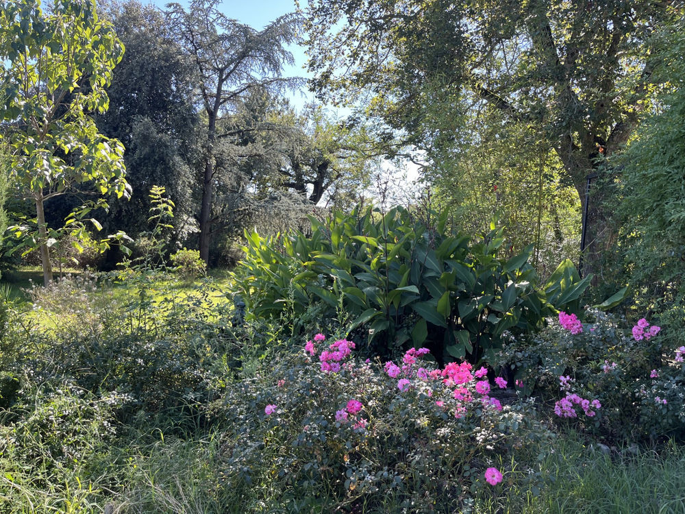 � vendre  Propri�t�/ch�teau Gaillac (81600)