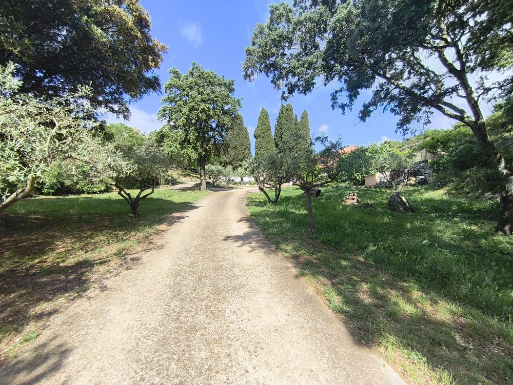 � vendre  Propri�t�/ch�teau Rochefort-du-Gard (30650)