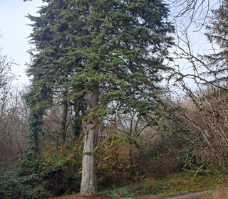  Maison � vendre 2 pi�ces 70 m�