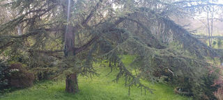  Maison � vendre 6 pi�ces 115 m�