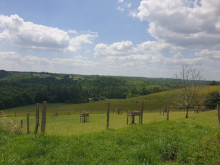  Propri�t�/ch�teau � vendre 15 + pi�ces 400 m�