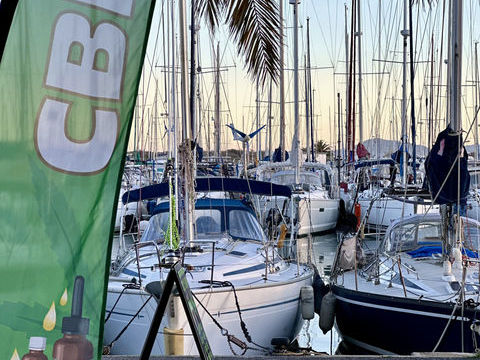 A vendre. Port de SAINT CYPRIEN (66750). local commercial 55000 66750 St cyprien