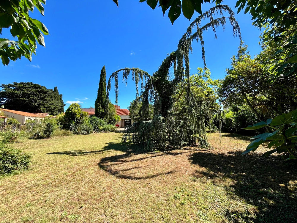 � vendre  Maison Torreilles (66440)