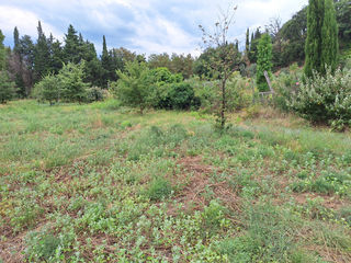  Terrain � vendre 6256 m� Ille sur tet