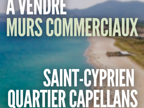 LOCAL COMMERCIAL - AVEC APPARTEMENT - SAINT-CYPRIEN PLAGE 231000 66750 St cyprien