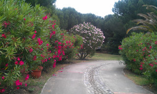  Maison � vendre 7 pi�ces 164 m�