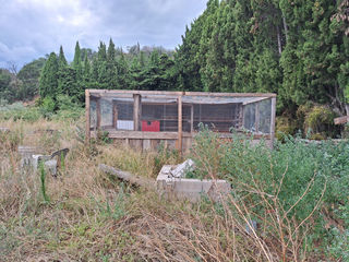  Terrain � vendre 6256 m� Ille sur tet