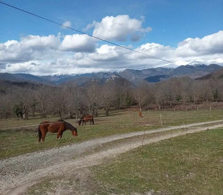  Maison � vendre 9 pi�ces 275 m�