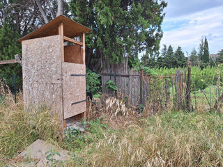  Terrain � vendre 6256 m� Ille sur tet