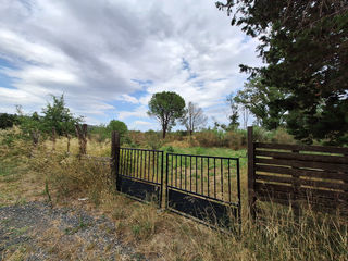  Terrain � vendre 6256 m� Ille sur tet