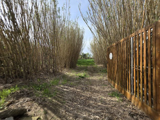  Terrain � vendre 5006 m�