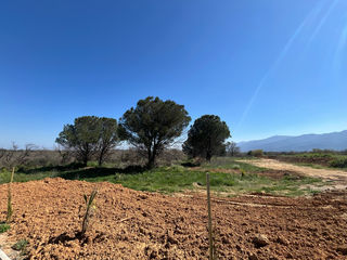  Terrain � vendre 375 m�