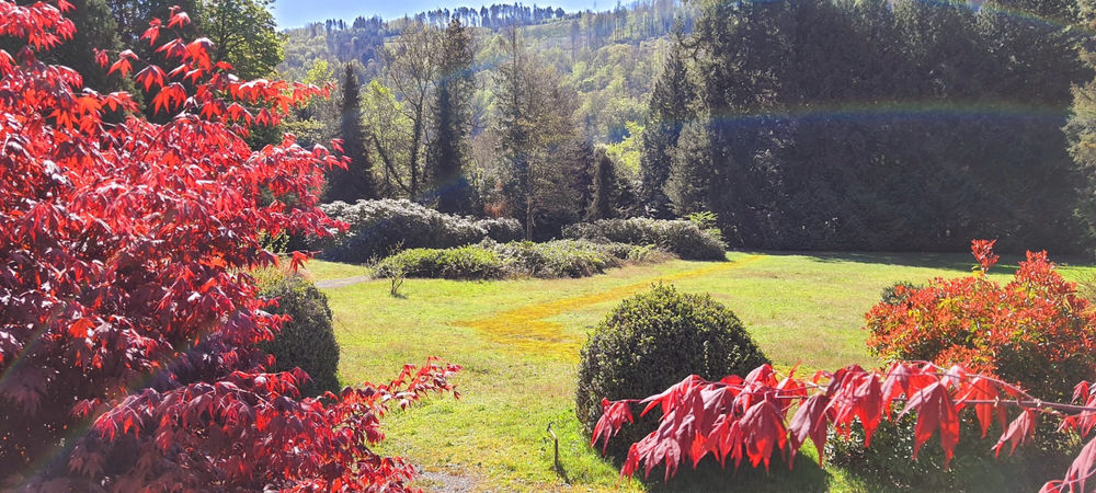 � vendre  Propri�t�/ch�teau La Longine (70310)