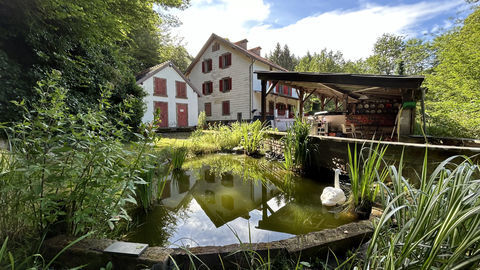   VOSGES DU NORD ATYPIQUE MAISON 292 m2 12 Pi�ces Maison - 12 pi�ce(s) - 292 m�