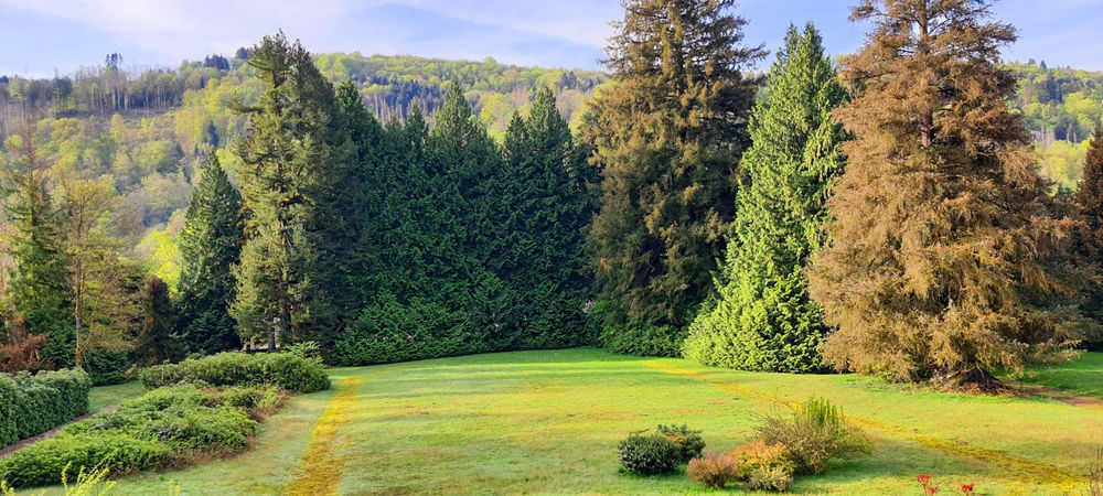 � vendre  Propri�t�/ch�teau La Longine (70310)