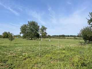  Propri�t�/ch�teau � vendre 4 pi�ces 104 m�