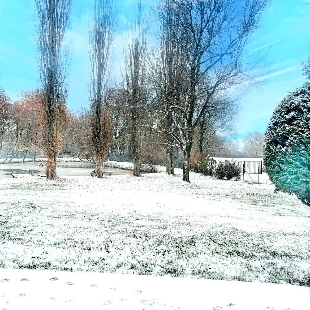 � vendre  Propri�t�/ch�teau Bourg-en-Bresse (01000)