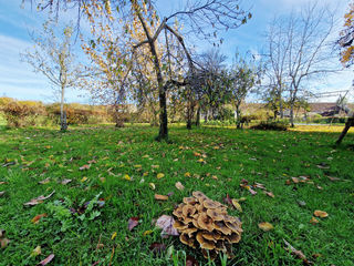  Maison � vendre 6 pi�ces 165 m�