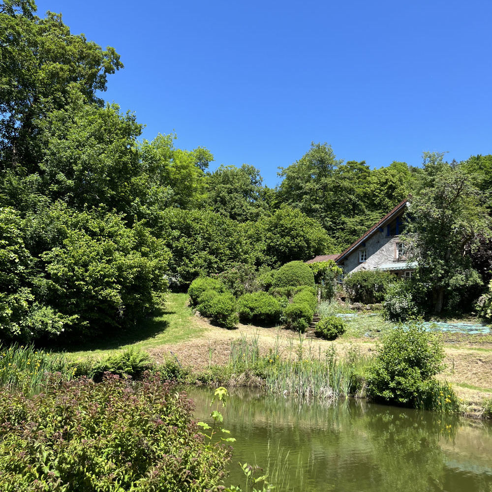 � vendre  Propri�t�/ch�teau Fresse (70270)