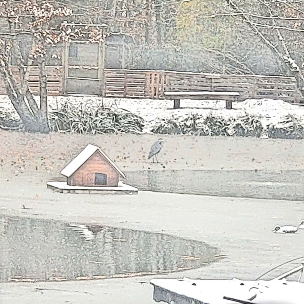 � vendre  Propri�t�/ch�teau Bourg-en-Bresse (01000)