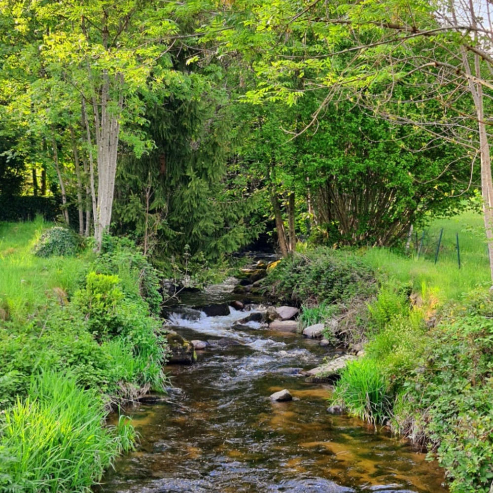 � vendre  Propri�t�/ch�teau La Longine (70310)