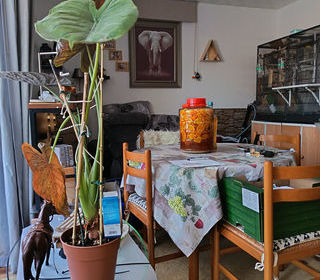  Appartement � vendre 2 pi�ces 53 m�