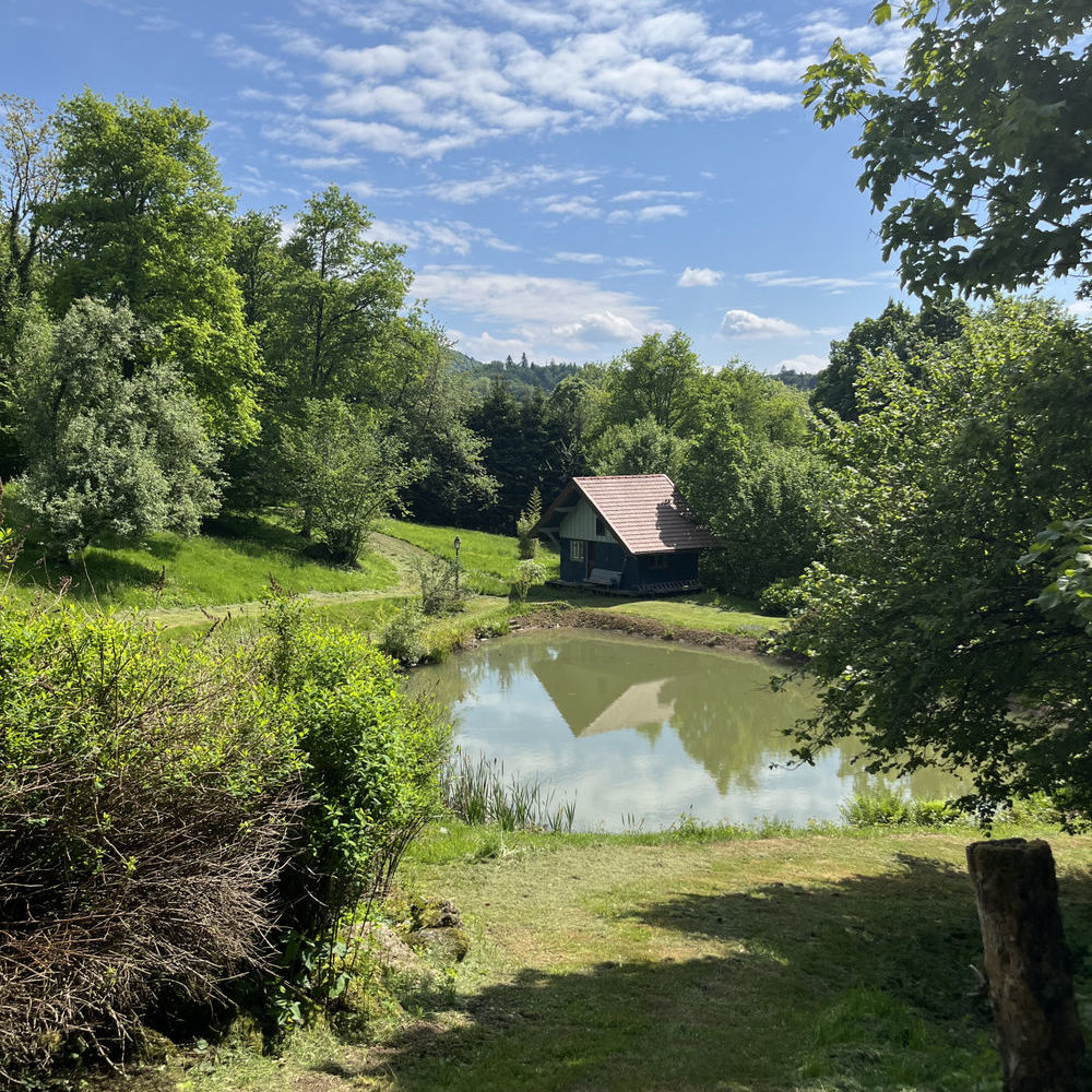 � vendre  Propri�t�/ch�teau Fresse (70270)