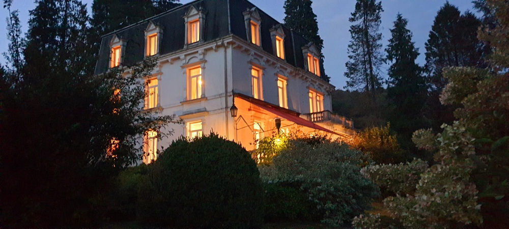 � vendre  Propri�t�/ch�teau La Longine (70310)