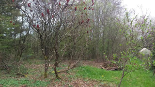  Terrain � vendre 2200 m�