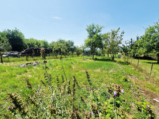  Maison � vendre 7 pi�ces 220 m�