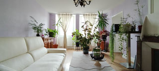  Maison � vendre 7 pi�ces 220 m�