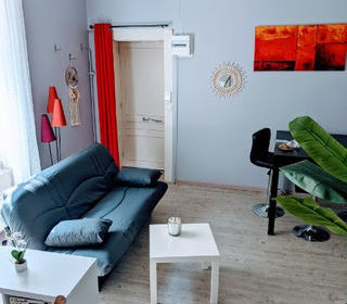  Duplex/triplex � vendre 2 pi�ces 48 m�