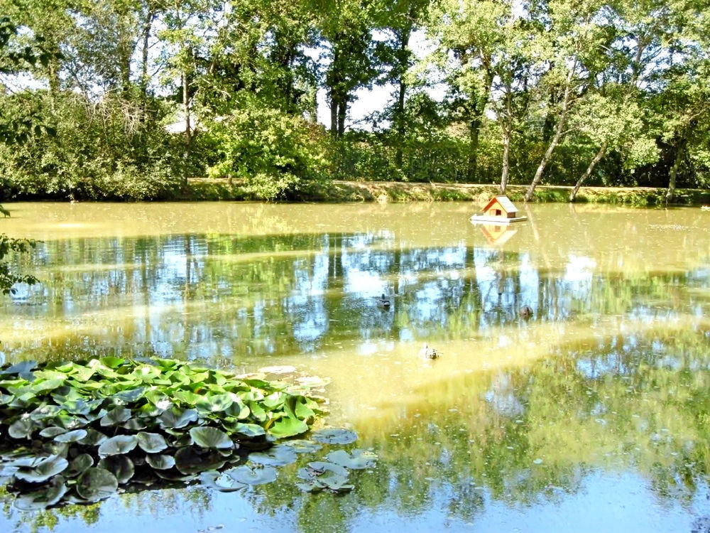 � vendre  Propri�t�/ch�teau Bourg-en-Bresse (01000)