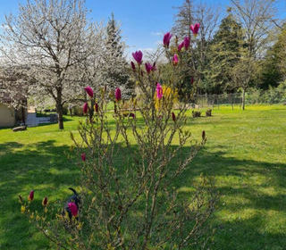  Maison � vendre 7 pi�ces 195 m�