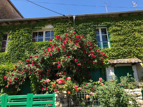   Maison de caract�re datant de 1820   213,85 m2   Terrain de 956 m2   Fort potentiel Maison - 6 pi�ce(s) - 214 m�