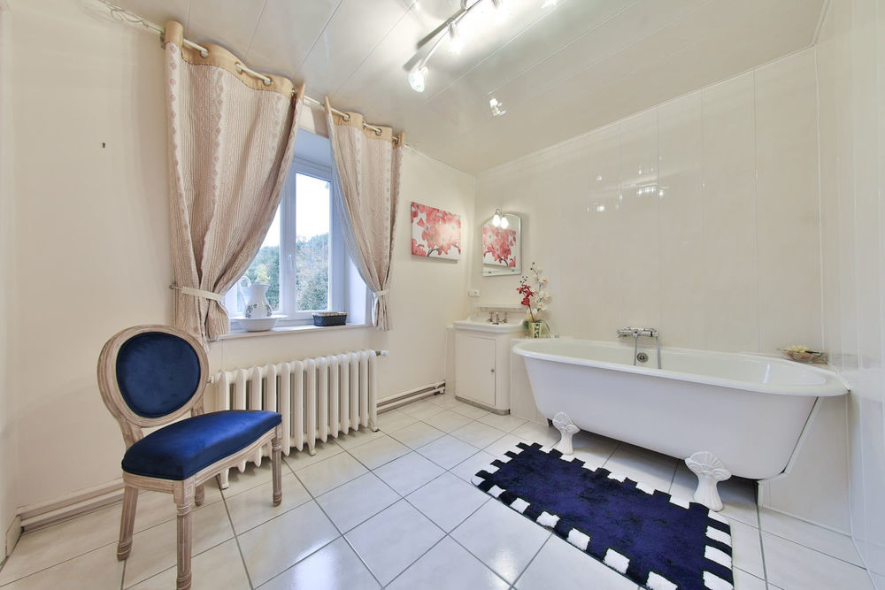 � vendre  Propri�t�/ch�teau La Longine (70310)