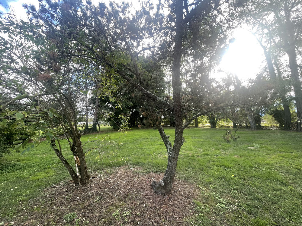 � vendre  Maison Feurs (42110)