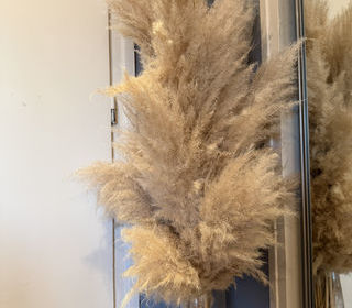  Maison � vendre 6 pi�ces 160 m�