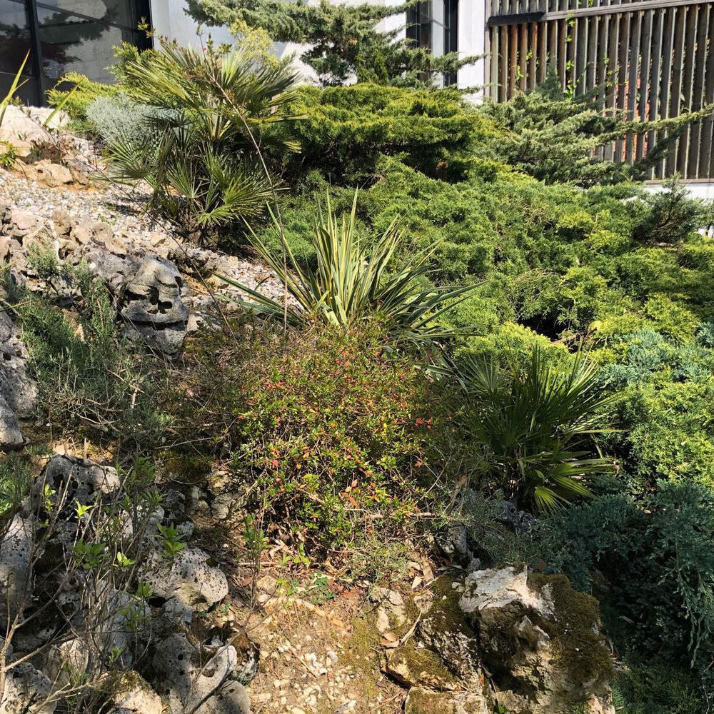 � vendre  Maison Le Plessis-Robinson (92350)